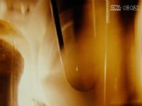 Ӣ�� ��˹��ά��vs���� (���) 20240211