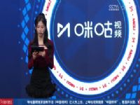 Ӣ������ �Ƕ�VS���� 20241227