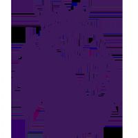 Ӣ������ ��˹��ά��VS������20260212