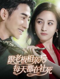 ���ϰ����׺�ÿ�춼������