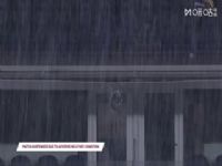 ��������ڶ��� ά����VS����˹ 20250925