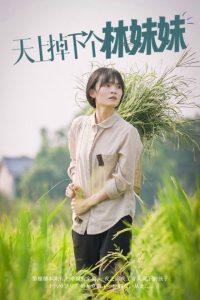 ���ϵ��¸�������