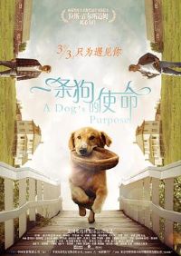 һ������ʹ��[��Ӱ��˵]