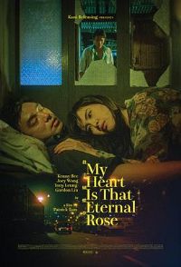 ɱ�ֺ����ι���