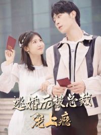 �ӻ�󣬱��ܲó����