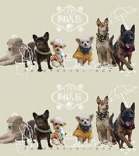 ���곤����