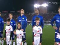 ������� ��������VSά���� 20241231