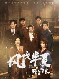 �紵����֮Ұ������