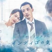 ����ɫ������