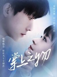 ����֮��