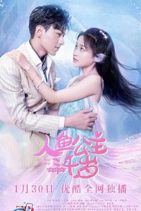 ���㹫����ǧ��