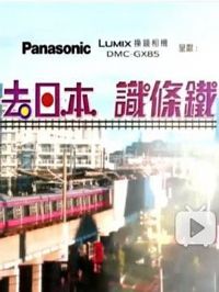 ȥ�ձ�ʶ����