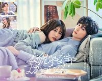 ������Ǳ����ͺ���